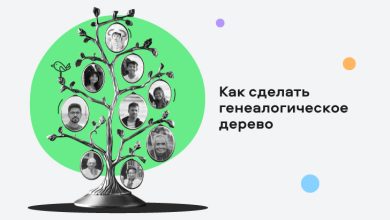 Photo of Секреты составления генеалогического древа