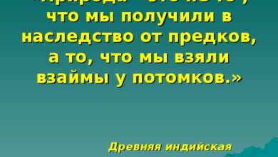 Photo of От родословной к наследству