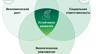 Photo of Как улучшить кредитную историю после банкротства